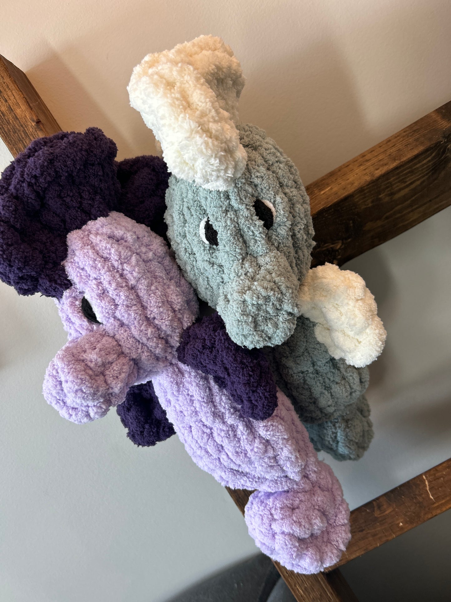 Seahorse friends
